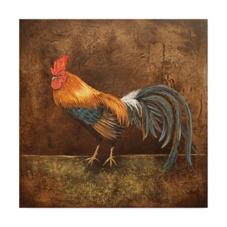 Jean Plout 'Royale Rooster' Canvas Art,18x18